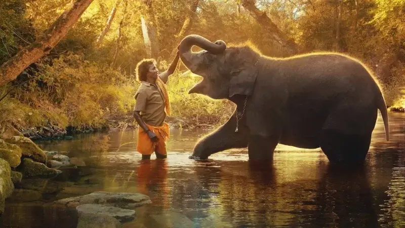 los susurradores de elefantes los susurradores de elefantes