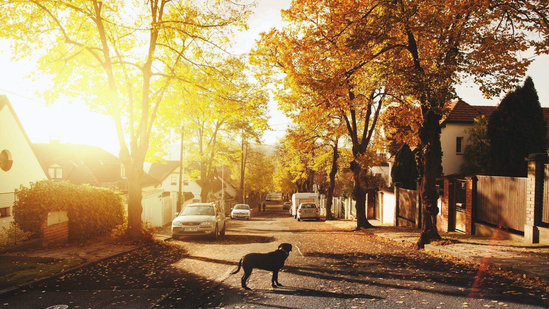 Así es el ‘Google Maps’ con el que puedes leer las opiniones más divertidas sobre tu barrio