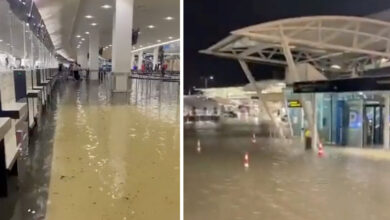 Auckland en Nueva Zelanda declara emergencia por inundación | Videos