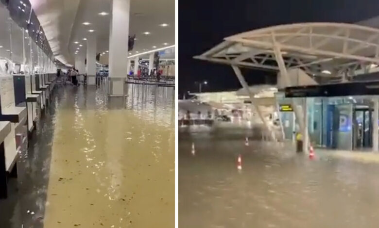 Auckland en Nueva Zelanda declara emergencia por inundación | Videos