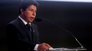 Castillo agradece a presidentes de CELAC por denunciar violaciones a DDHH en Perú