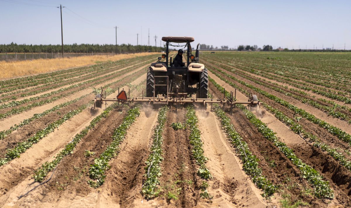 Cómo aplacar la ira del campo