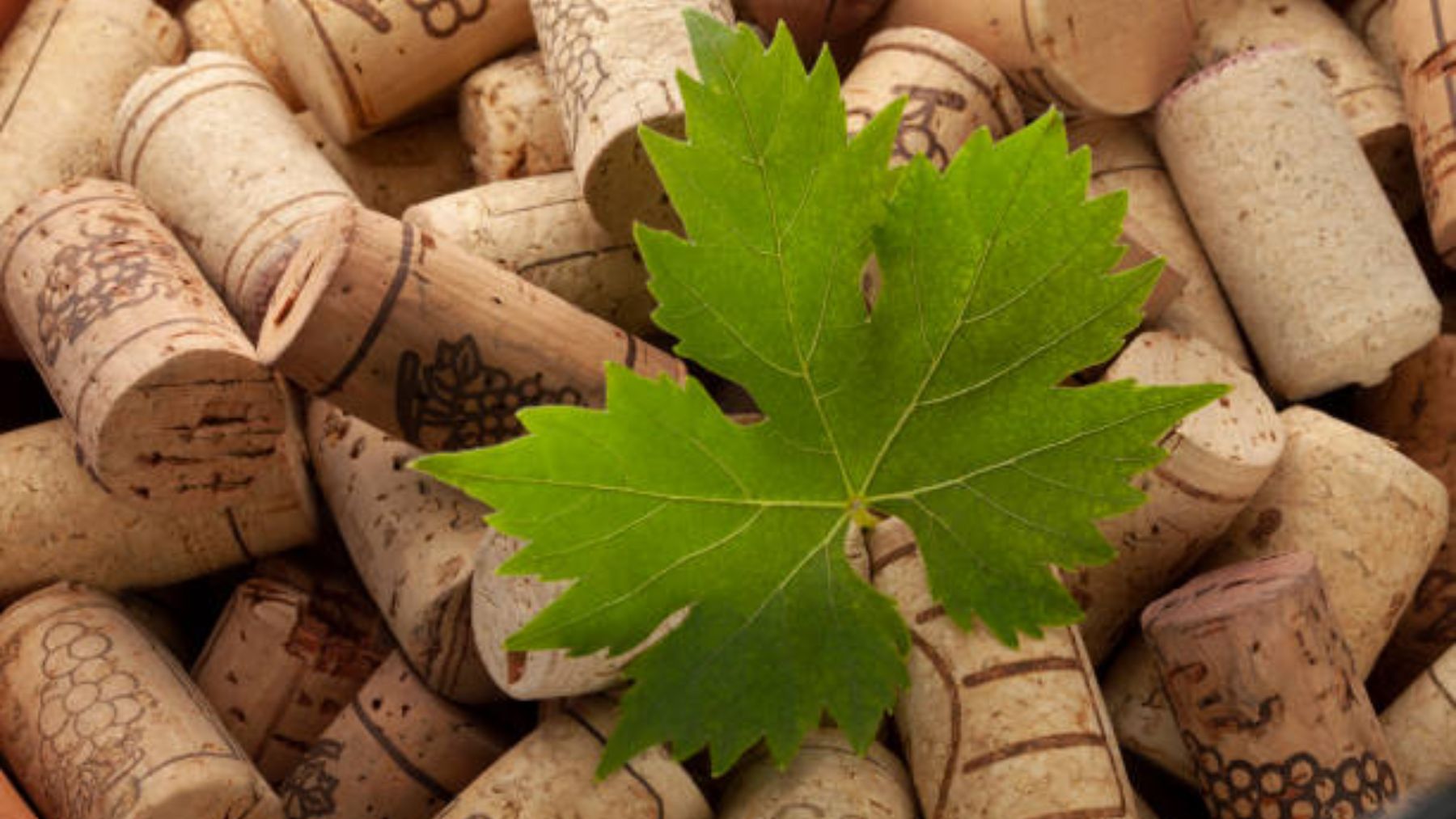 El motivo por el que deberías poner tapones de corcho dentro de tus macetas