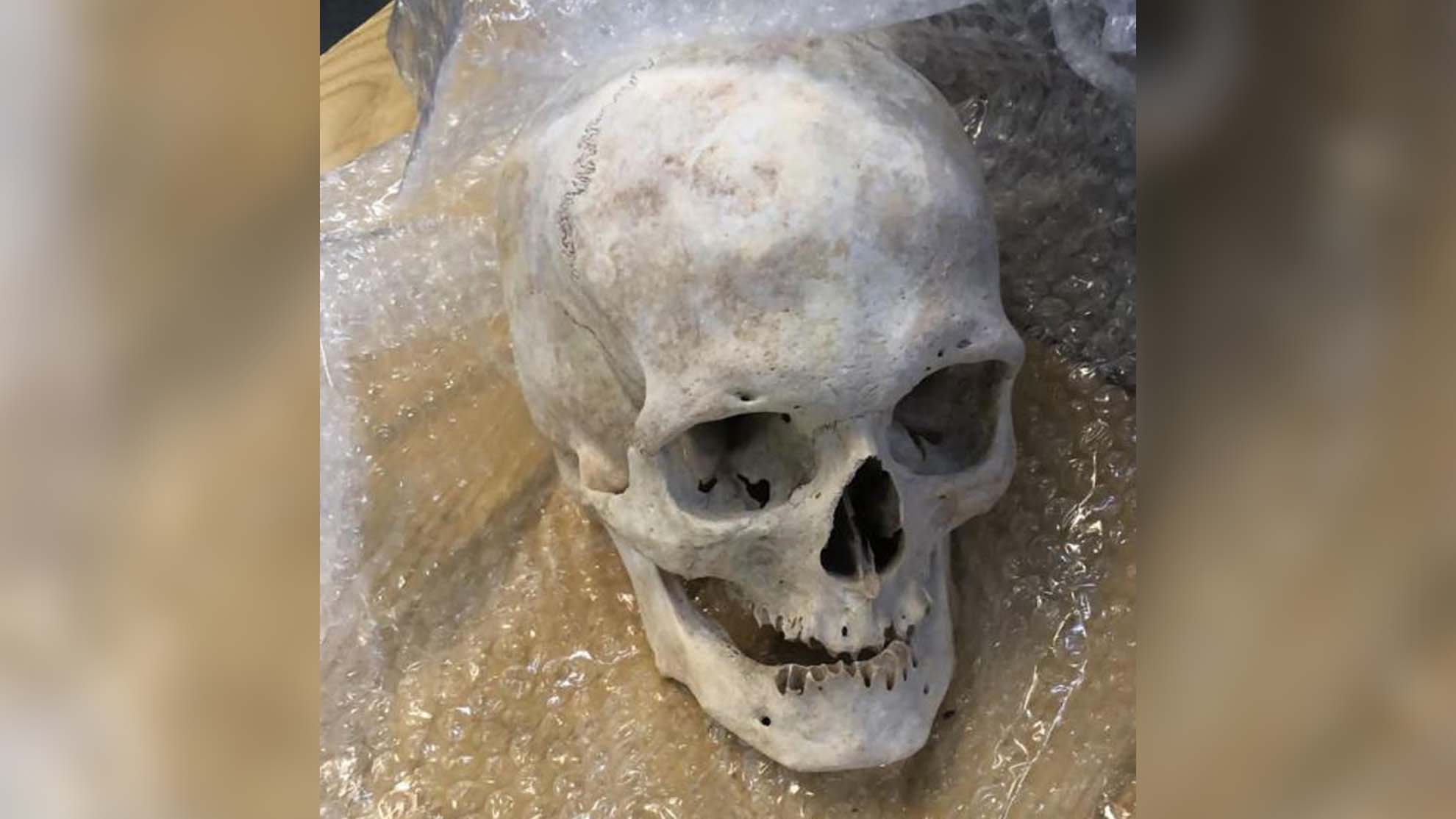 Encuentran paquete con calavera humana y misteriosa nota adentro