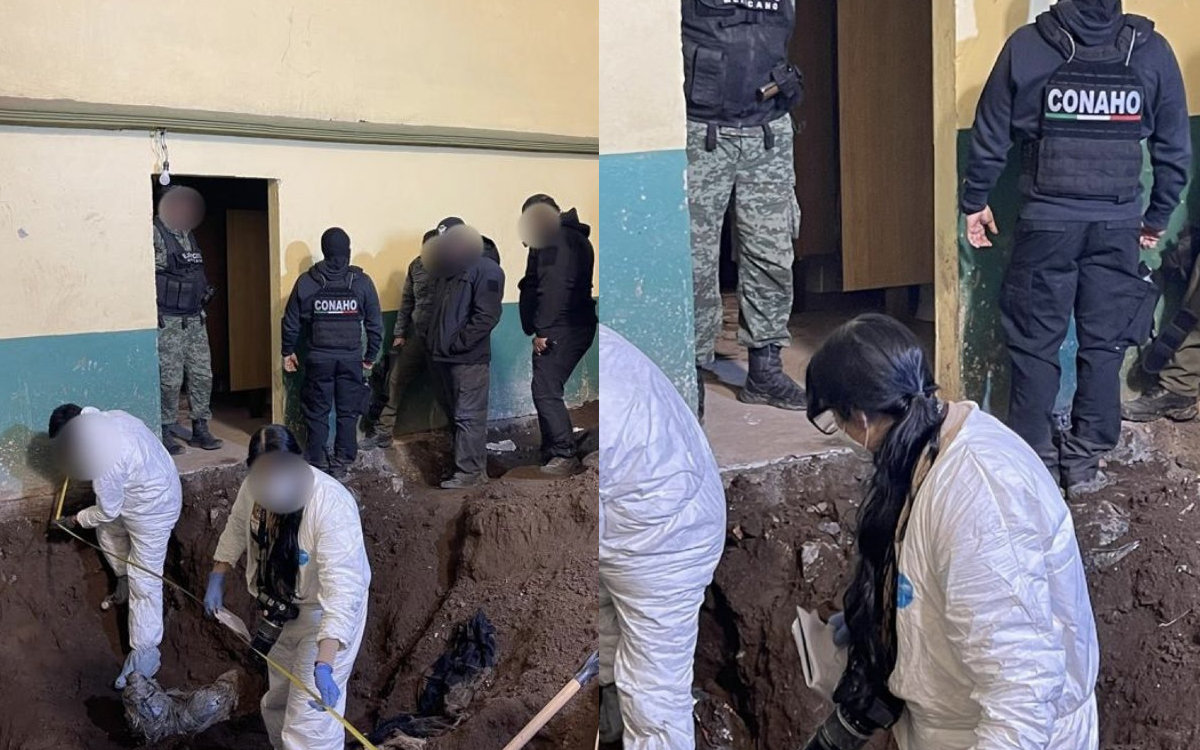 Hallan narcofosa del CJNG en Edomex; había bolsas con restos humanos | Video