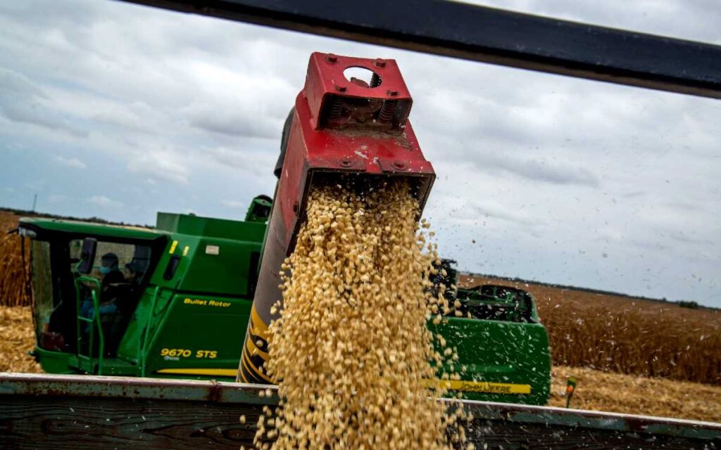 Impone AMLO tarifa de exportación al maíz blanco