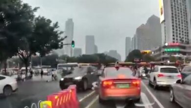 Joven embiste a peatones y mata a 5 en China | Video
