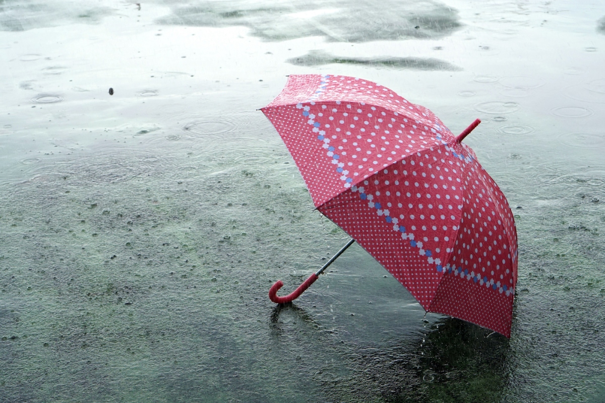 La tecnología olvidó su paraguas