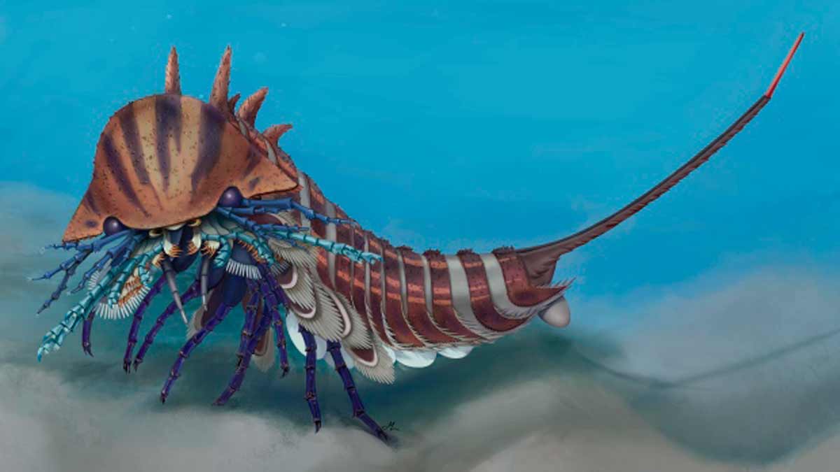 Las claves del extraño monstruo con cabeza de navaja