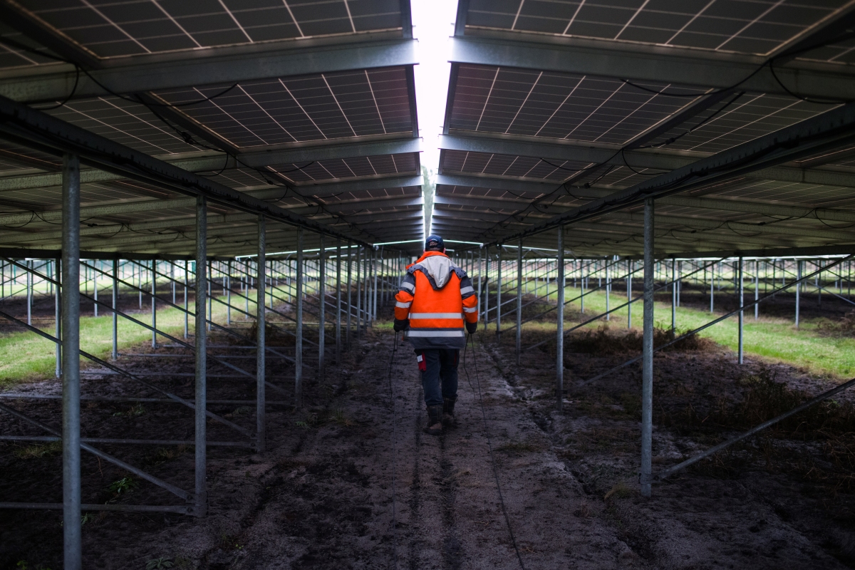 Las inversiones en transición energética alcanzaron $ 1.1 billones, con una T, el año pasado