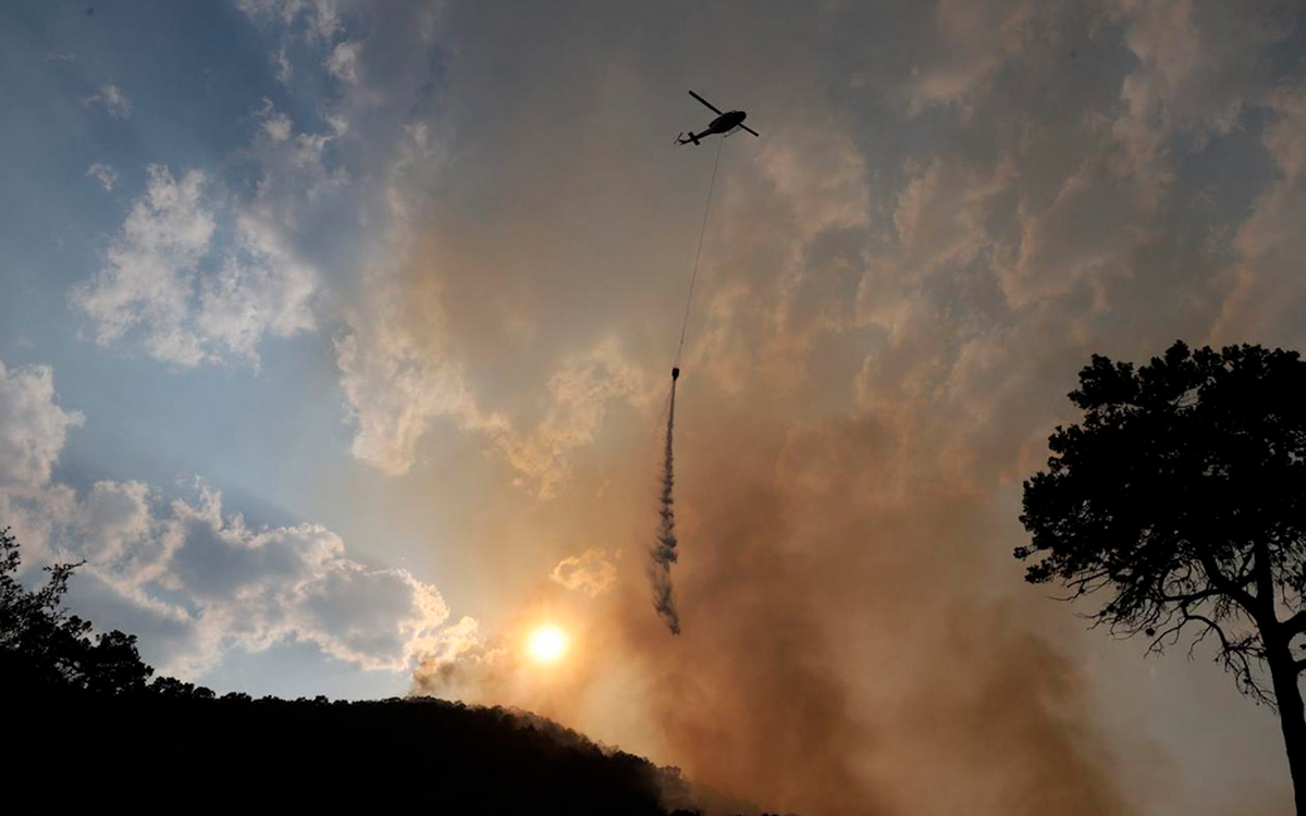 Los incendios forestales le cuestan al mundo 50 mil millones de dólares cada año