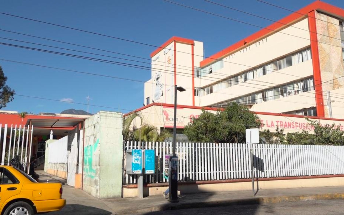 Muere niña de 8 años por rabia tras ser mordida por un murciélago en Oaxaca