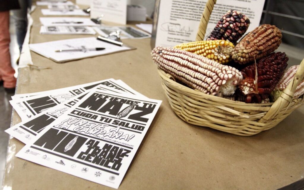 Rechazan presión de empresas de transgénicos y agrotóxicos al gobierno mexicano