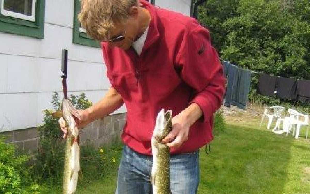 Renuncia secretario de Estado de Suecia por pesca ilegal de anguila