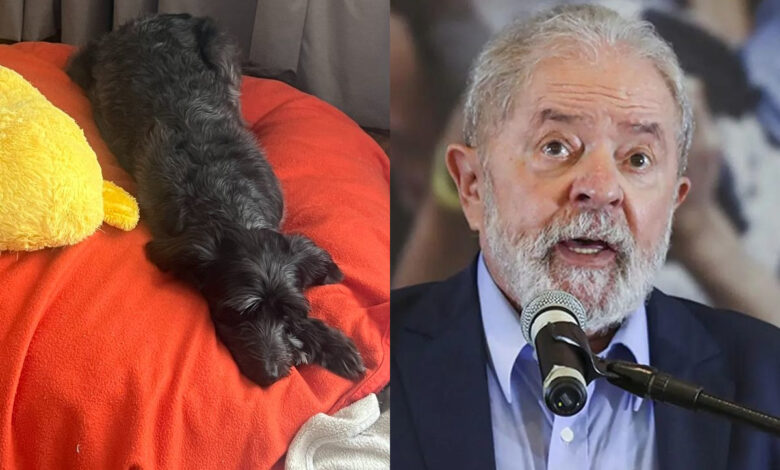 Resistencia, la perra callejera que llega al poder con Lula