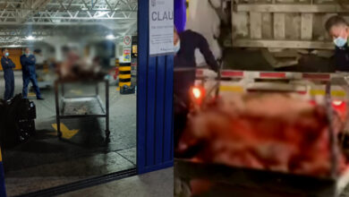 Sacan de La Polar 20 borregos y comida en mal estado | Video