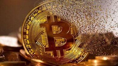 Se derrumban las inversiones en cripto: cayeron 42% y ya nadie confía