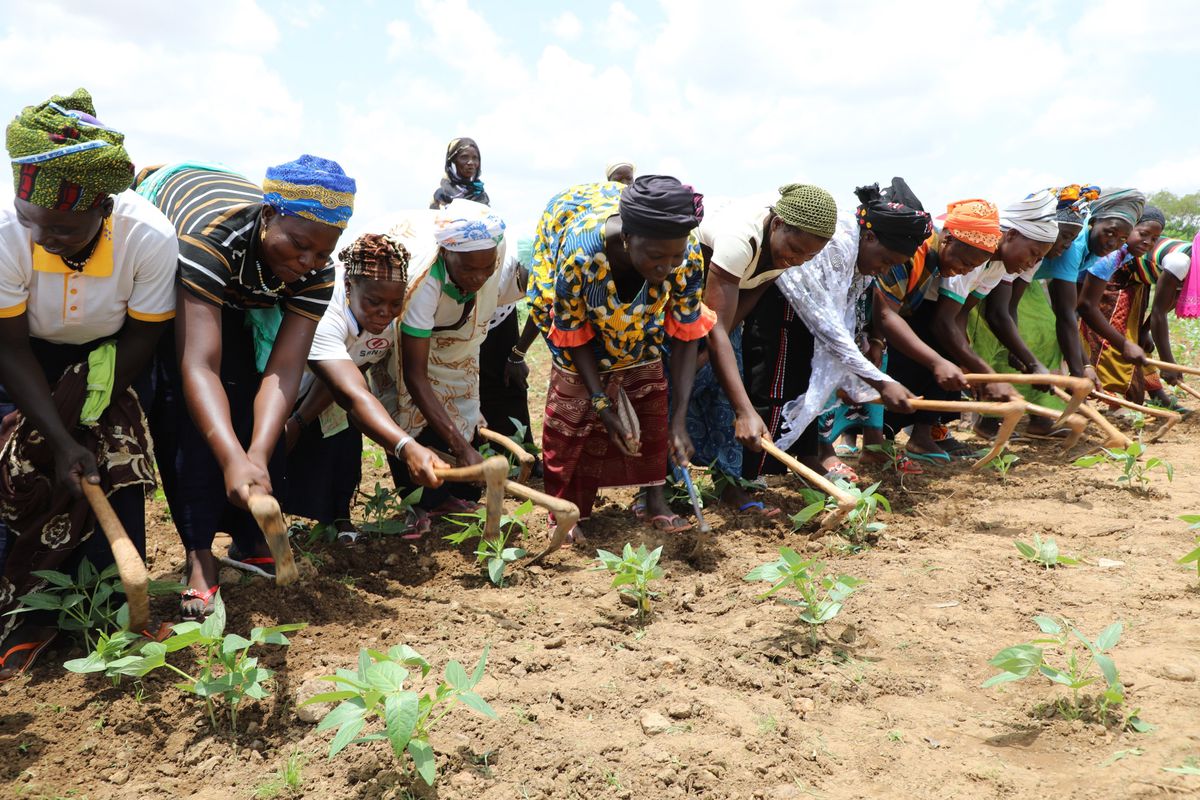 Secuestradas en el norte de Burkina Faso medio centenar de mujeres