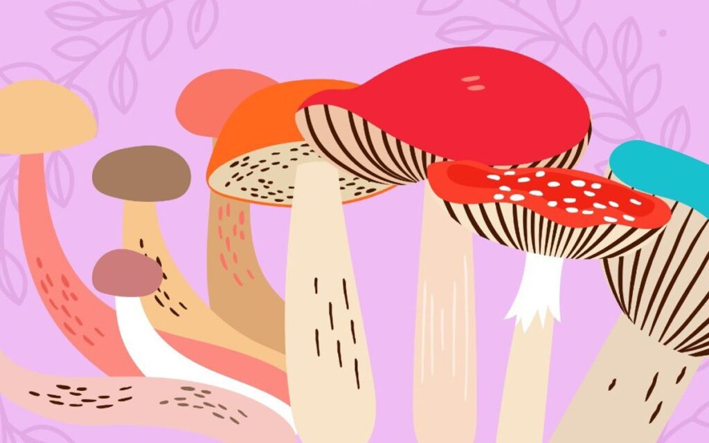 Senadora del Partido Verde buscará despenalizar y regular sustancias alucinógenas