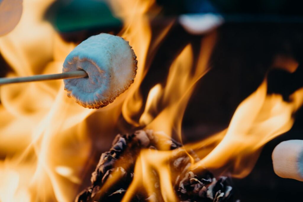 Smores es una aplicación de descubrimiento de música con un feed similar a TikTok