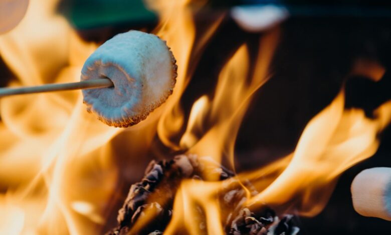 Smores es una aplicación de descubrimiento de música con un feed similar a TikTok