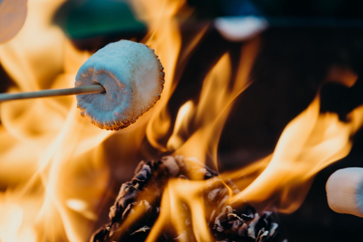 Smores es una aplicación de descubrimiento de música con un feed similar a TikTok
