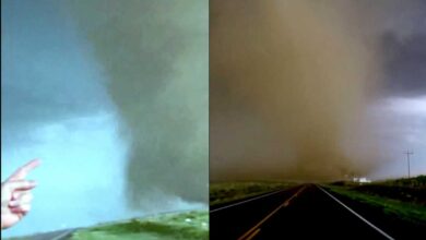 Tornados y tormentas dejan seis muertos en Alabama