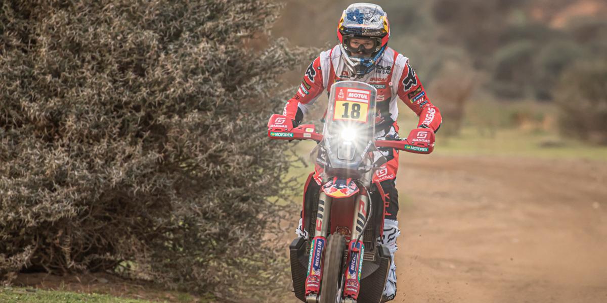 Tremendo susto para Sanders: se encuentra con un perro a 160 km/h