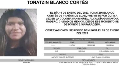 ¿La has visto? Tonatzin de 11 años desapareció en la GAM