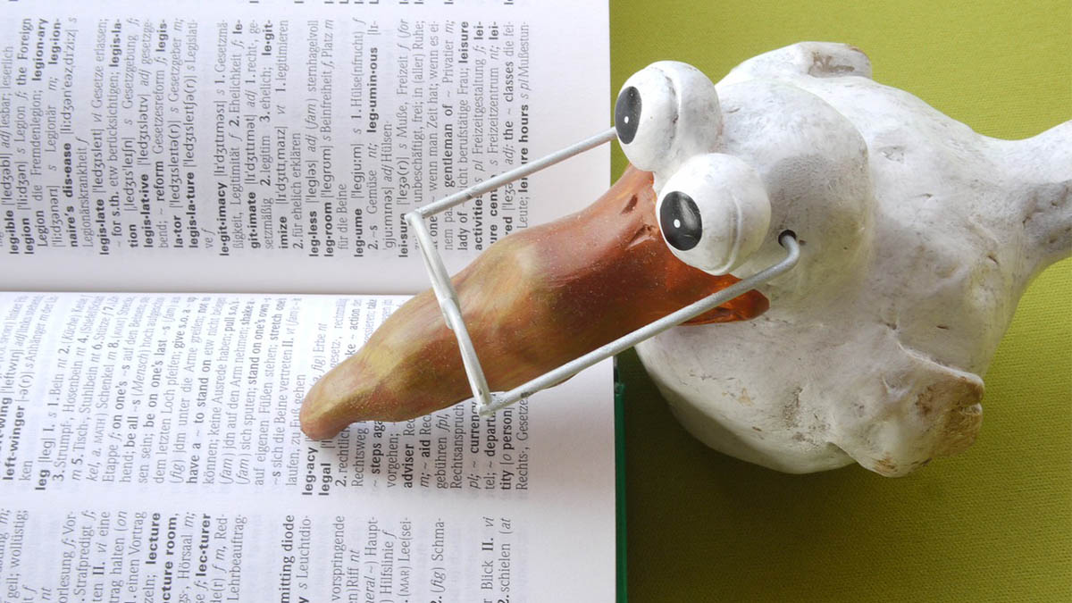 ‘Haber’, ‘bizarro’ y ‘sexo’, entre las palabras más buscadas de 2017