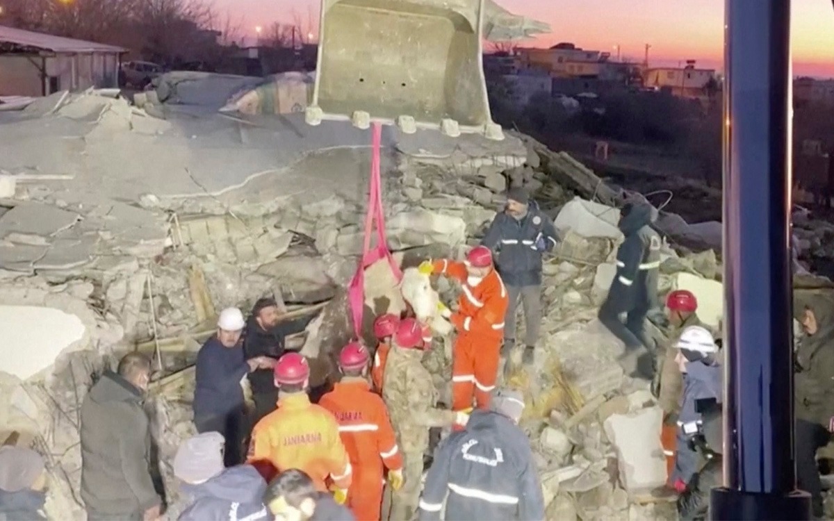 ¡Bravo! Rescatan a vaca atrapada durante 11 días tras sismo en Turquía | Video