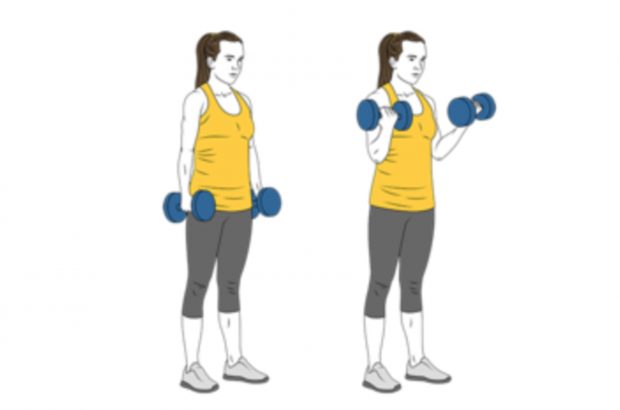 Curl de bíceps / Google