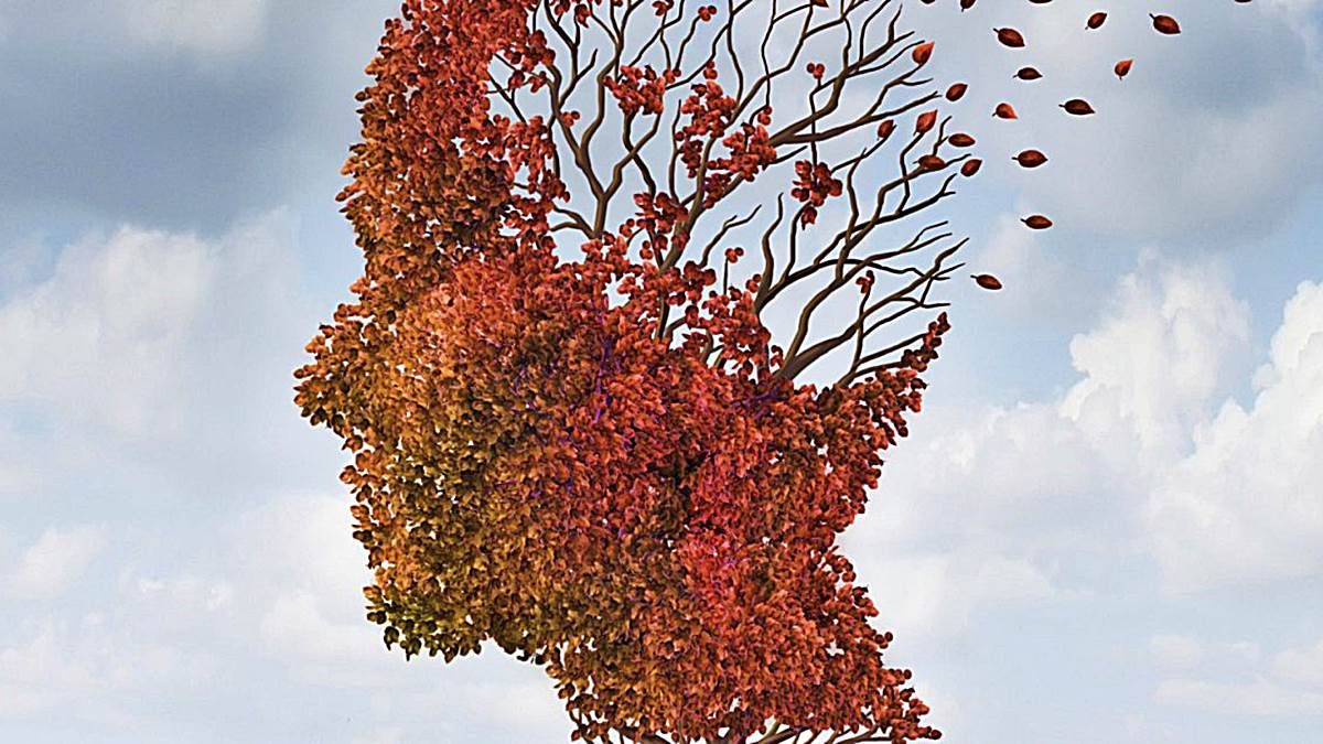 5 formas de regenerar más neuronas y ser más inteligente