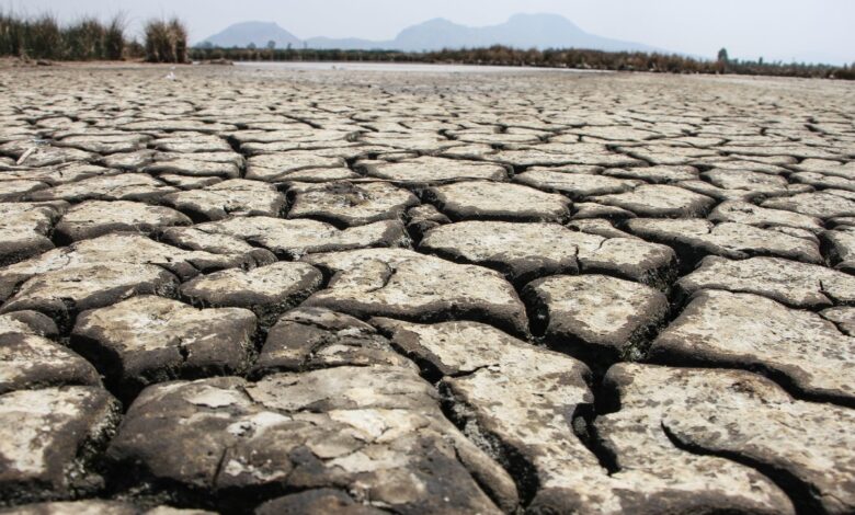 Arranca OCDE foro de buenas prácticas contra cambio climático con 100 países