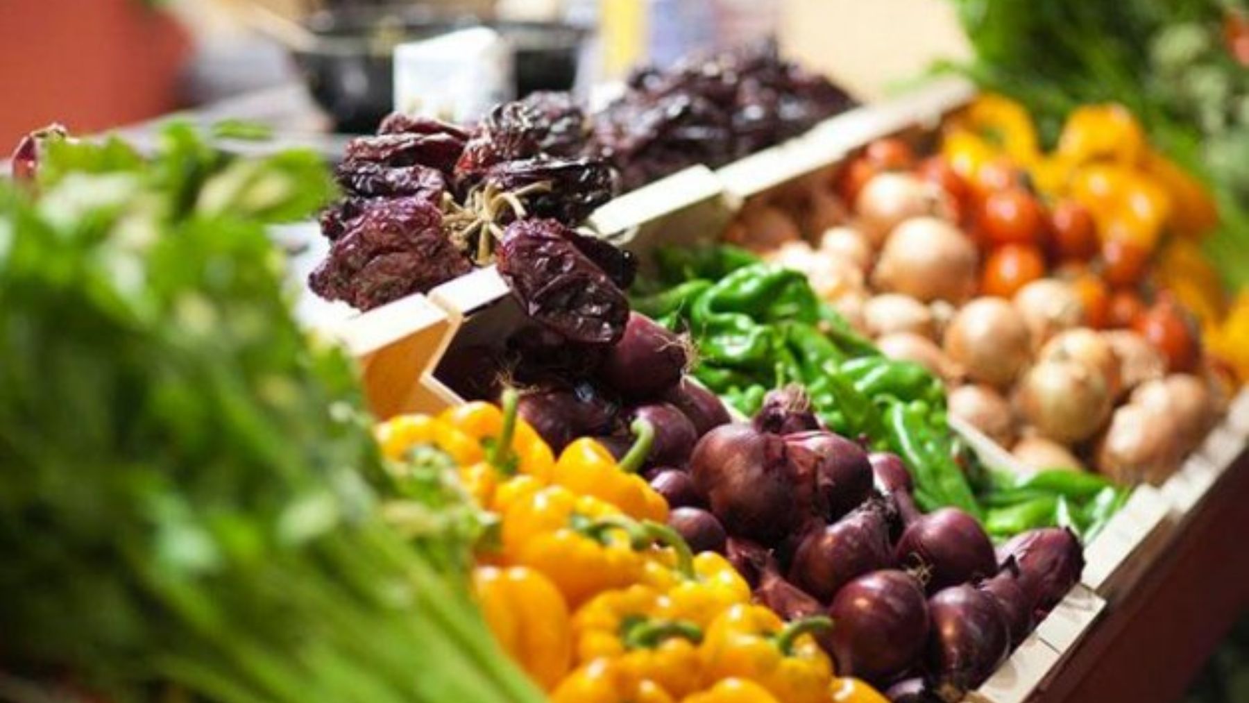 Así es el parque ecológico de Santiago que se peta todos los martes