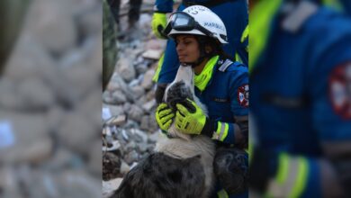 Así es el rescate en Turquía por brigadistas mexicanos | Fotogalería