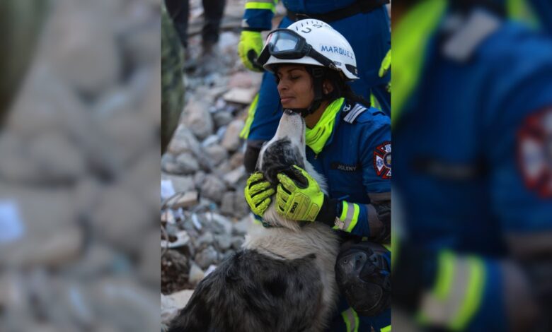 Así es el rescate en Turquía por brigadistas mexicanos | Fotogalería