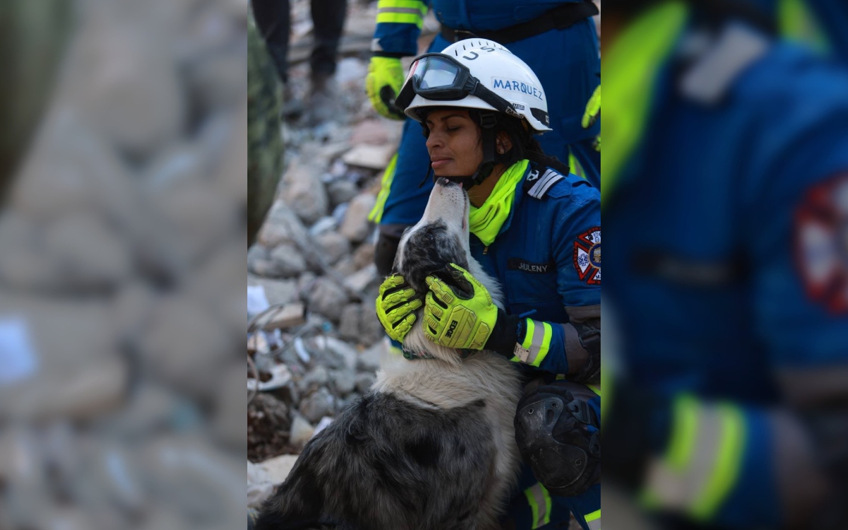 Así es el rescate en Turquía por brigadistas mexicanos | Fotogalería