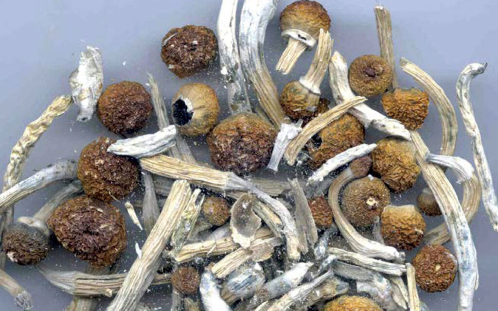 Australia aprueba prescripción de hongos mágicos y éxtasis