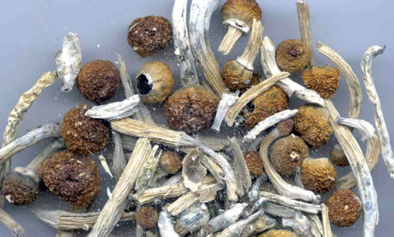 Australia aprueba prescripción de hongos mágicos y éxtasis