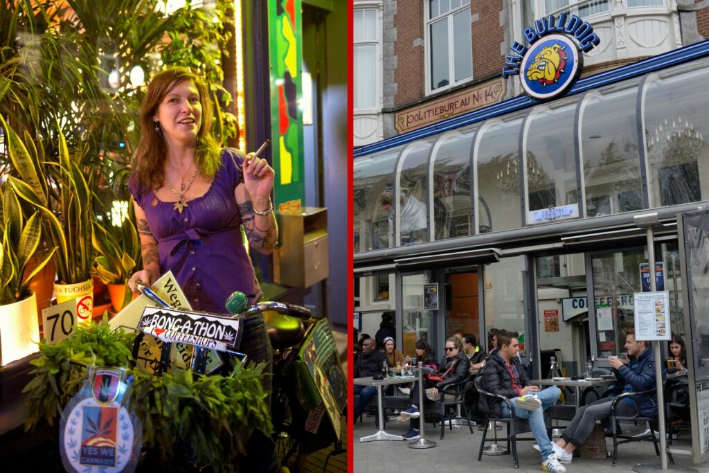 Busca Ámsterdam prohibir consumo de marihuana en espacios públicos