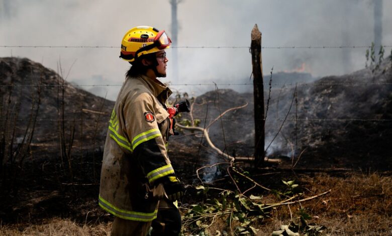 Chile confirma dos nuevas muertes en los incendios y sube a 26 el total de fallecidos