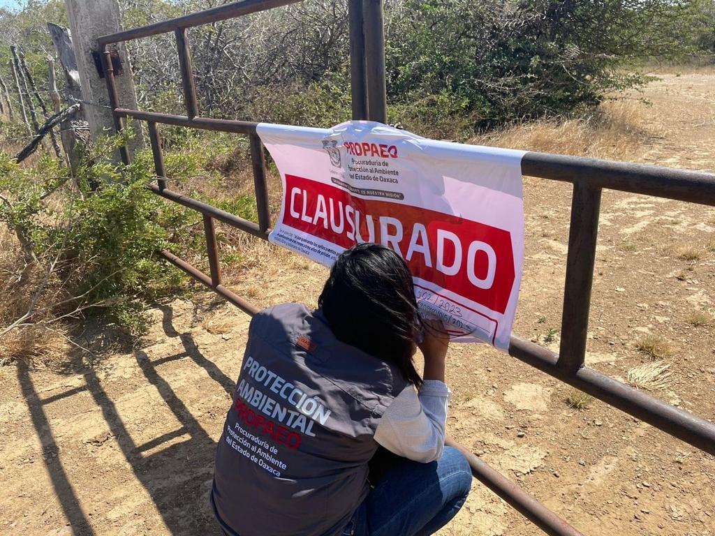 Clausuran mina clandestina en Oaxaca que operaba a favor de Cementera Cruz Azul