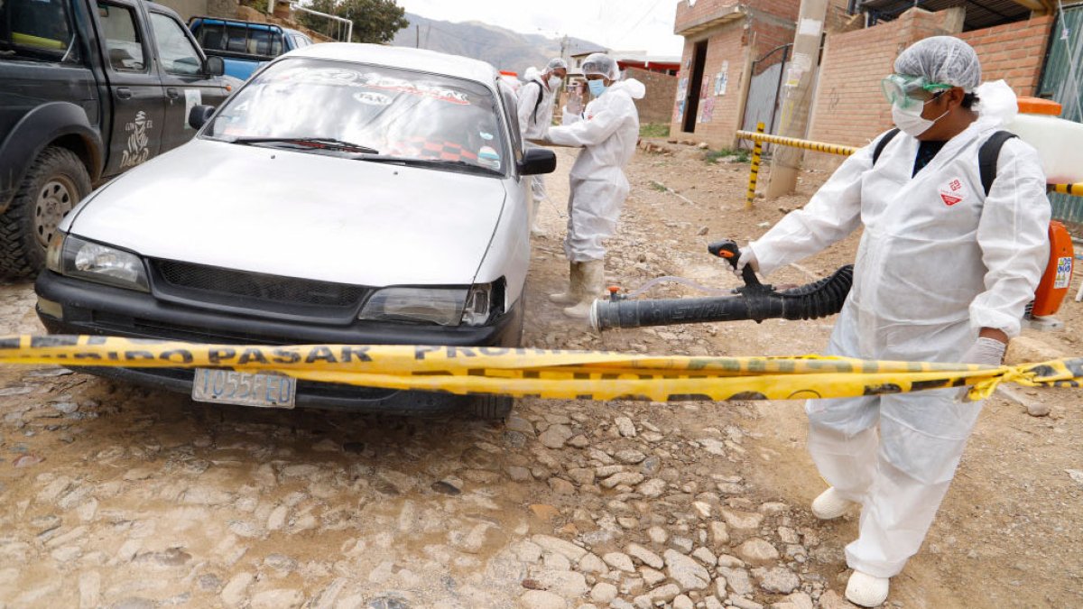 Crece el temor en América Latina por el avance de la gripe aviar