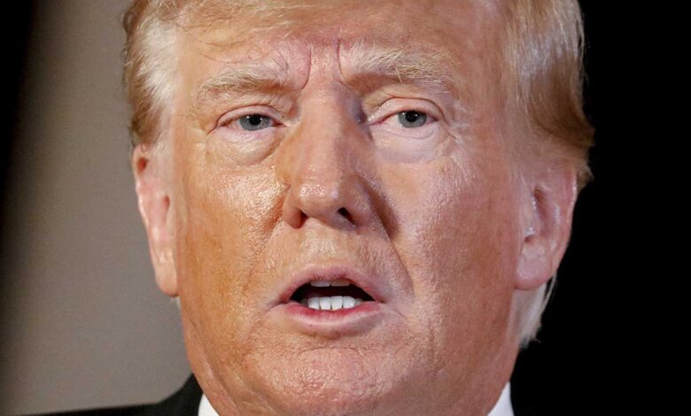 'Debemos poner fin a esta guerra ridícula y exigir la paz en Ucrania': Trump