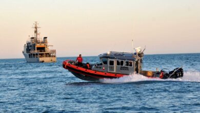 Declaran inocente a pescador acusado de traficar totoaba