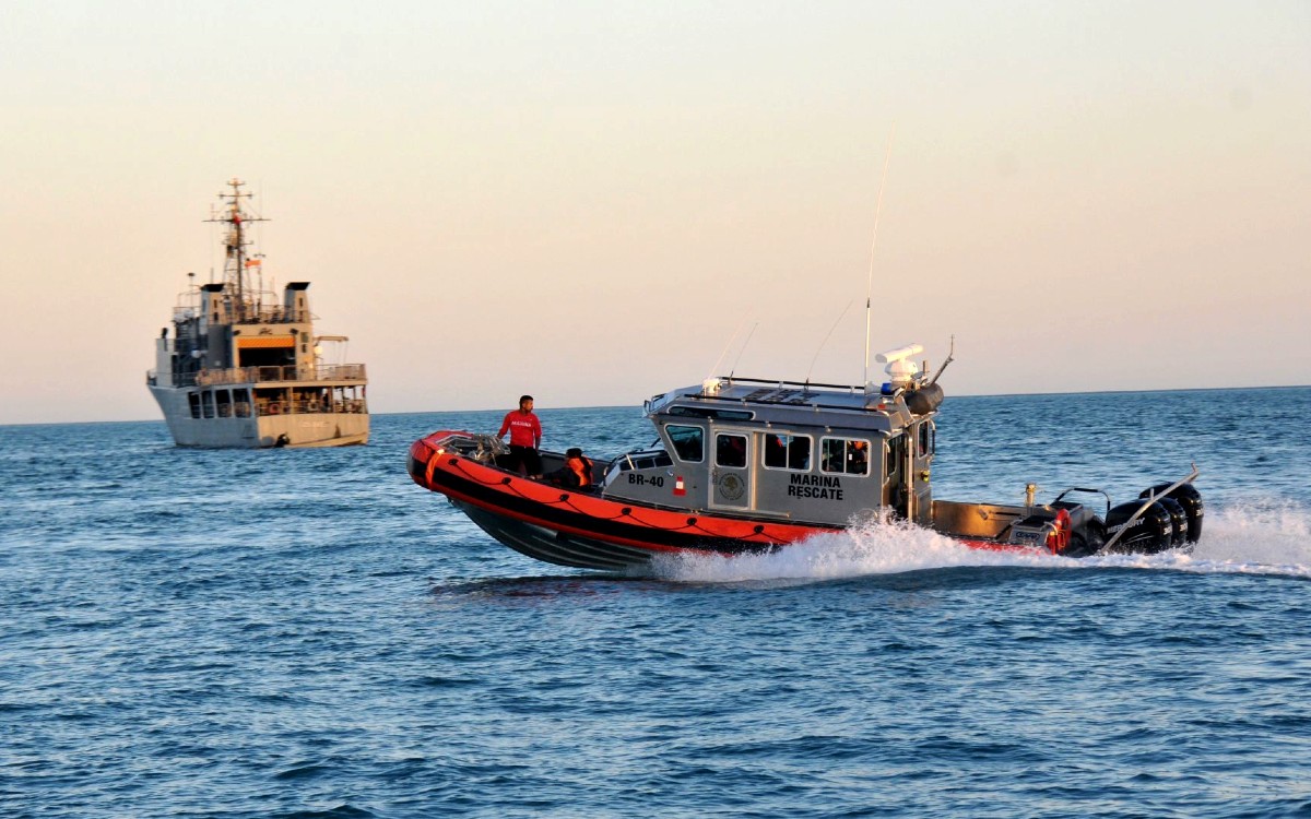 Declaran inocente a pescador acusado de traficar totoaba