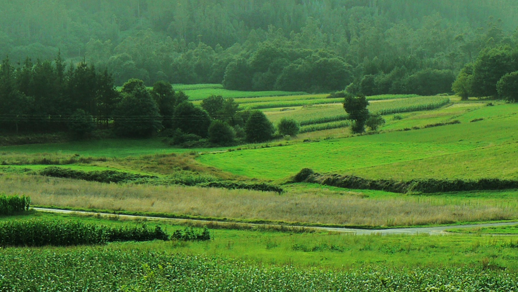El dineral que se ha gastado el dueño de un bar de Londres en este pueblo de Galicia