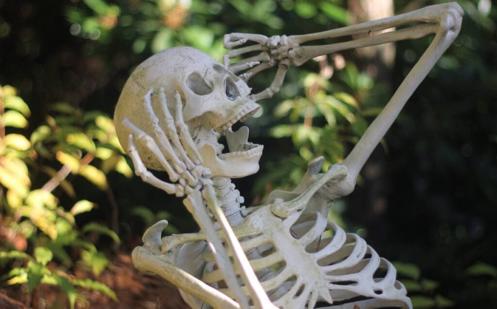 El filtro adolescente de TikTok nos hace enfrentar nuestra propia mortalidad