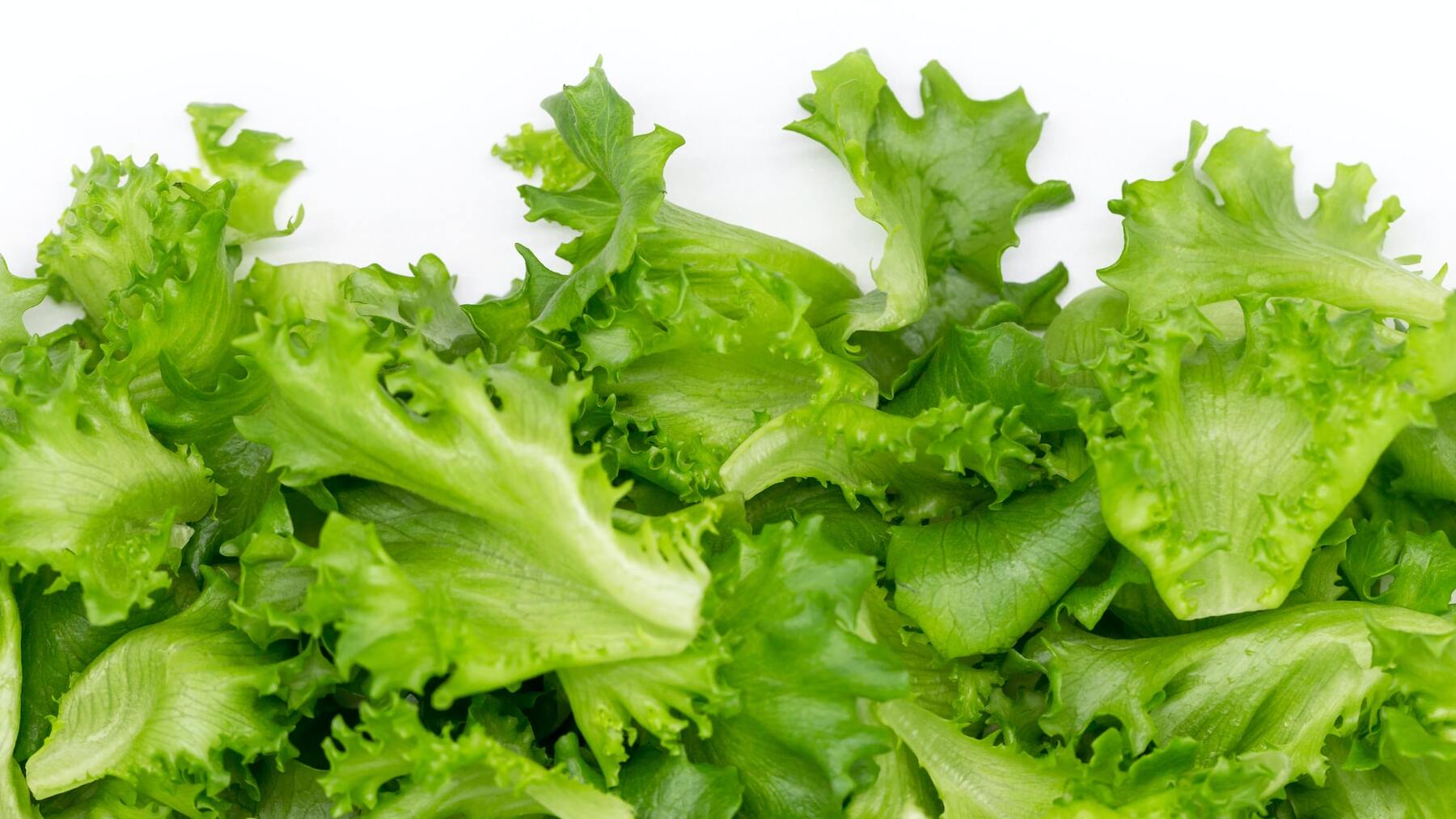 El trucazo del papel albal para la lechuga te dure fresca un mes en la nevera